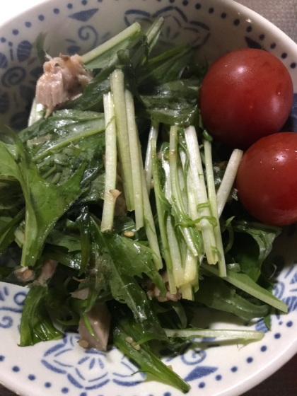 水菜のサラダ