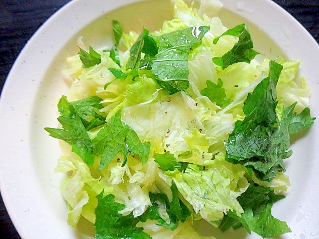 レタスと大葉の簡単サラダ