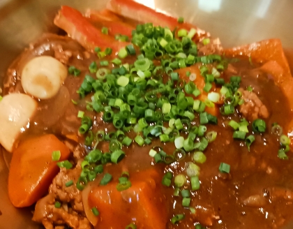 是非ともカレーを残して！蕎麦屋のカレーうどん