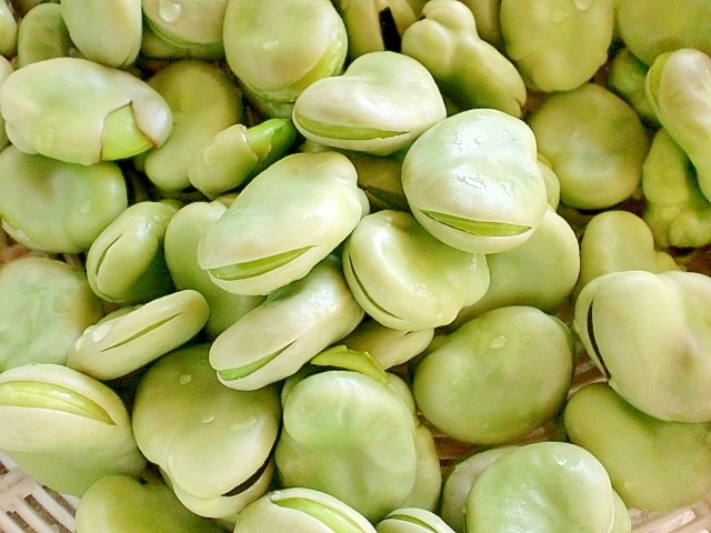 そら豆のおいしい茹で方 レシピ 作り方 By Hiromu 楽天レシピ そら豆のおいしい茹で方 レシピ 作り方 By Hiromu 楽天レシピ