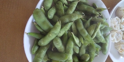 枝豆はレンチンが手軽で美味しい！！