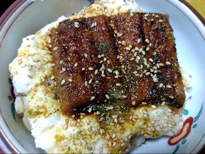 うなぎ丼（土用丑の日）