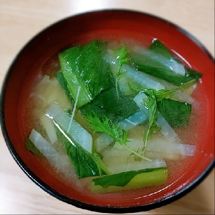 大根と小松菜と水菜の味噌汁