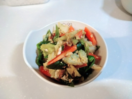 オイスターソース味の野菜の卵炒め