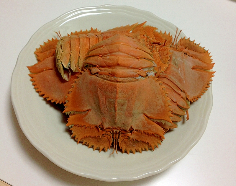 ウチワエビの塩茹で レシピ 作り方 By 爽月桜 楽天レシピ ウチワエビの塩茹で レシピ 作り方 By 爽月桜 楽天レシピ