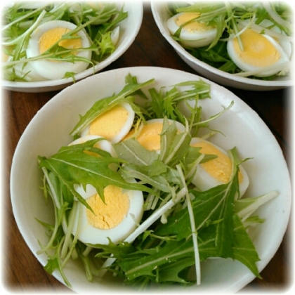 塩でいただく☆シャキシャキ水菜と茹で卵のサラダ