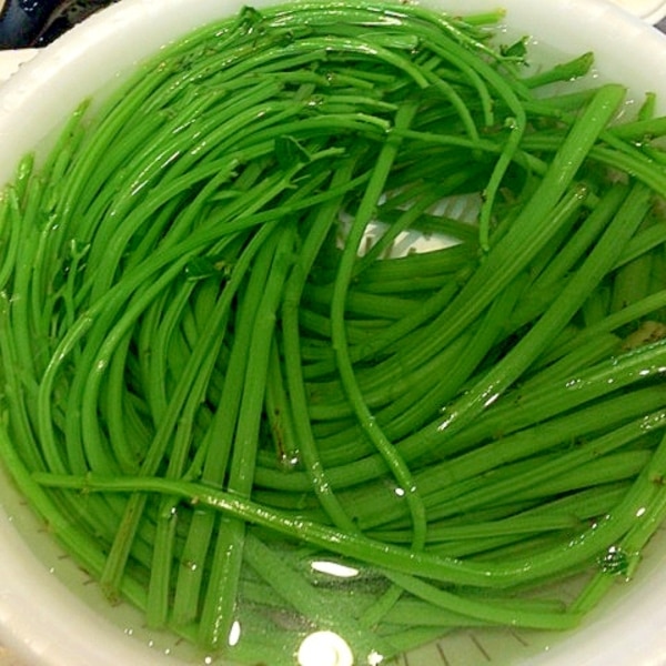 皮むきいらず 赤ミズの下処理 レシピ 作り方 By アボカドプリン 楽天レシピ 皮むきいらず 赤ミズの下処理 レシピ 作り方 By アボカドプリン 楽天レシピ