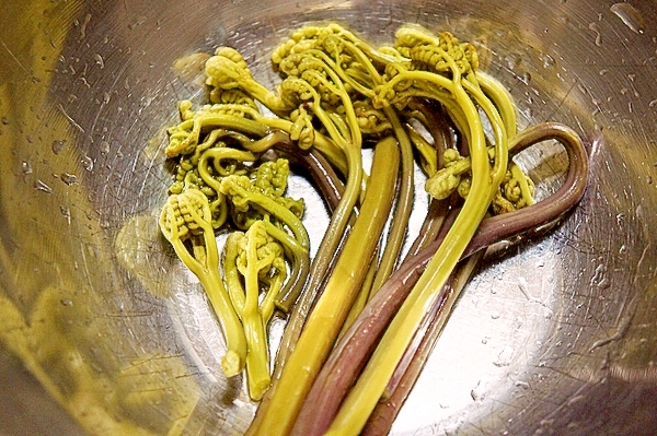 重曹なくても失敗しない 簡単なワラビのアク抜き レシピ 作り方 By プッチン5903 楽天レシピ 重曹なくても失敗しない 簡単なワラビのアク抜き レシピ 作り方 By プッチン5903 楽天レシピ