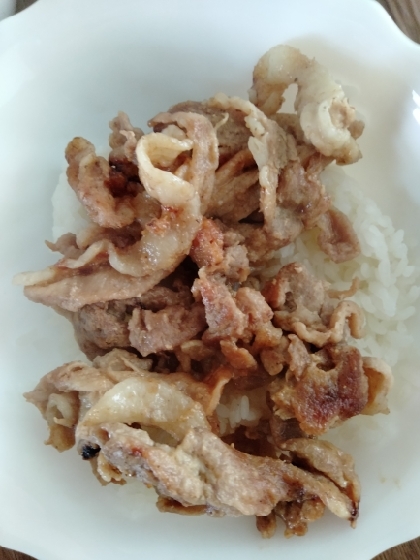 帯広名物もどき？～でも美味しい！豚丼