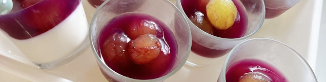 kotagoma