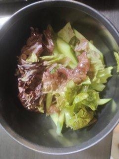 簡単混ぜるだけ韓国風チョレギサラダ