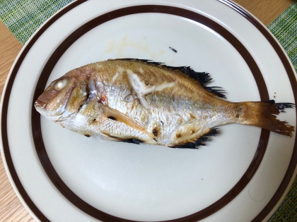 初めて鯛を焼きましたが、臭みなくフワフワに焼けました！
美味しかったです(^^)