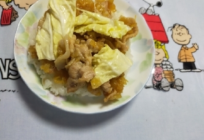 hamupi-ti-zuちゃん(*´∇`)ﾉ豚肉焼き美味しかったです.｡ﾟ+.(･∀･)ﾟ+.ﾟご飯が進みますね＼(^^)／