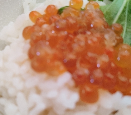 梅と大葉でさっぱりと食べられる♪海鮮丼