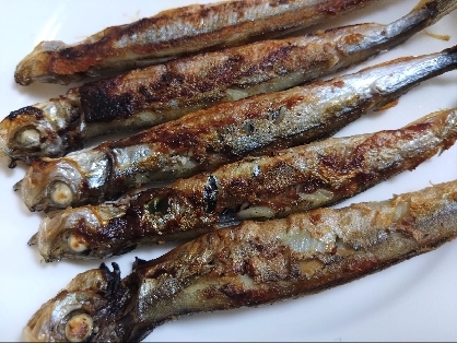 簡単！ジューシーししゃもの焼き方