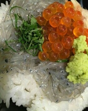 しらすといくら AQ-3 極上しらす干し 500g×1パック しらす シラス｜マイナビふるさと納税