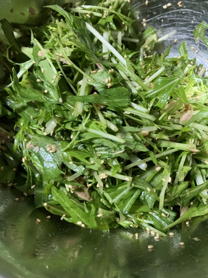 とまらない！水菜とシーチキンのサラダ