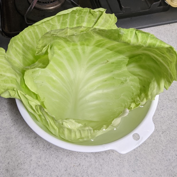 しなしなキャベツの外葉が復活 レシピ 作り方 By O Shin 楽天レシピ しなしなキャベツの外葉が復活 レシピ 作り方 By O Shin 楽天レシピ