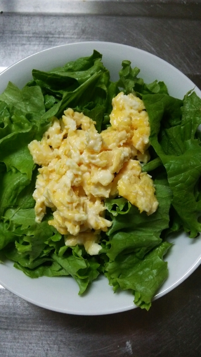 グリーンリーフと入り卵のサラダ
