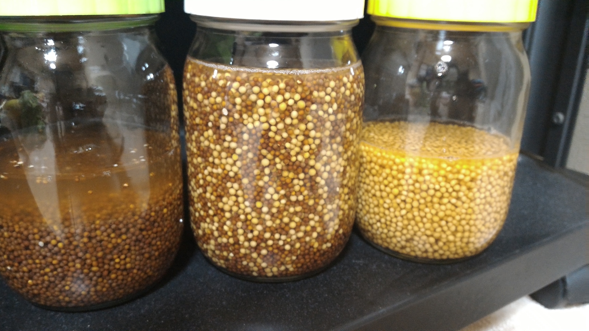 簡単おいしい 手作り粒マスタード レシピ 作り方 By ひなこ3594 楽天レシピ 簡単おいしい 手作り粒マスタード レシピ 作り方 By ひなこ3594 楽天レシピ