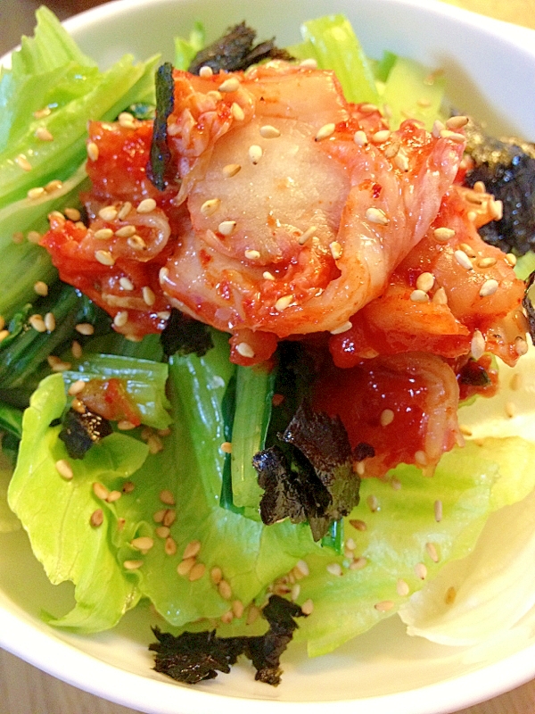 レタス・小松菜・キムチの韓国風サラダ