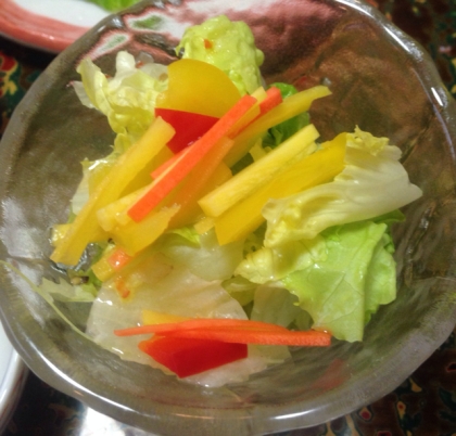 カラフル野菜の彩りサラダ