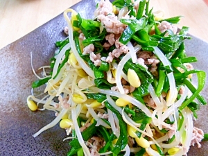 ひき肉入り もやしとニラのナムル レシピ 作り方 By Jp S ビートル 楽天レシピ ひき肉入り もやしとニラのナムル レシピ 作り方 By Jp S ビートル 楽天レシピ