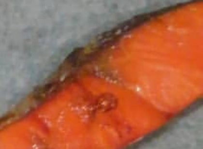 ♢鮭の煮付け♢