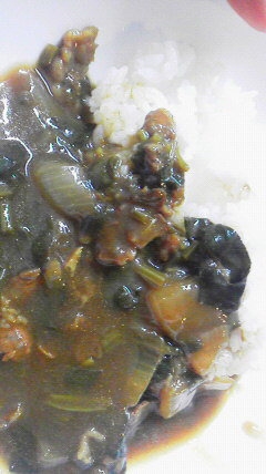 ルーを使って♪家庭版ほうれん草カレー＋＋