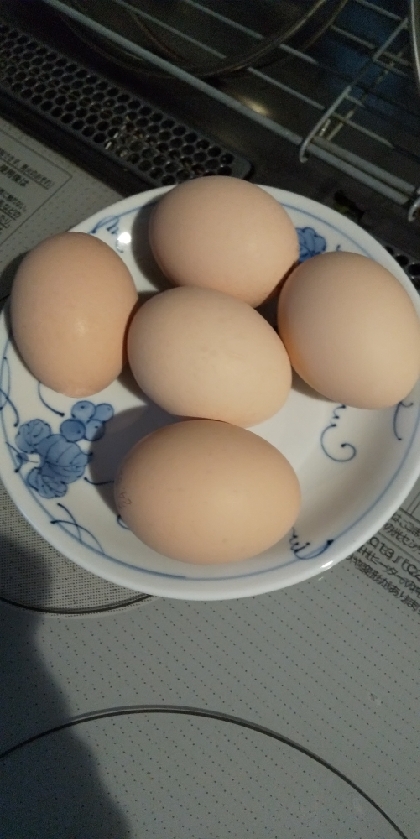 参考に美味しくいただきました。レシピありがとうございました(*^^*)
