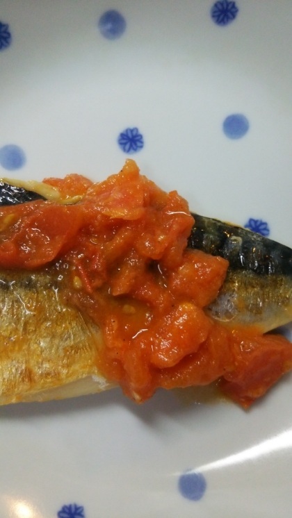 シンプル☆塩鯖の生姜トマト煮