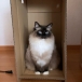 ブン太さん