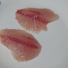 釣り魚料理 ムラサメモンガラのお造り レシピ 作り方 By 釣りシン 楽天レシピ 釣り魚料理 ムラサメモンガラのお造り レシピ 作り方 By 釣りシン 楽天レシピ
