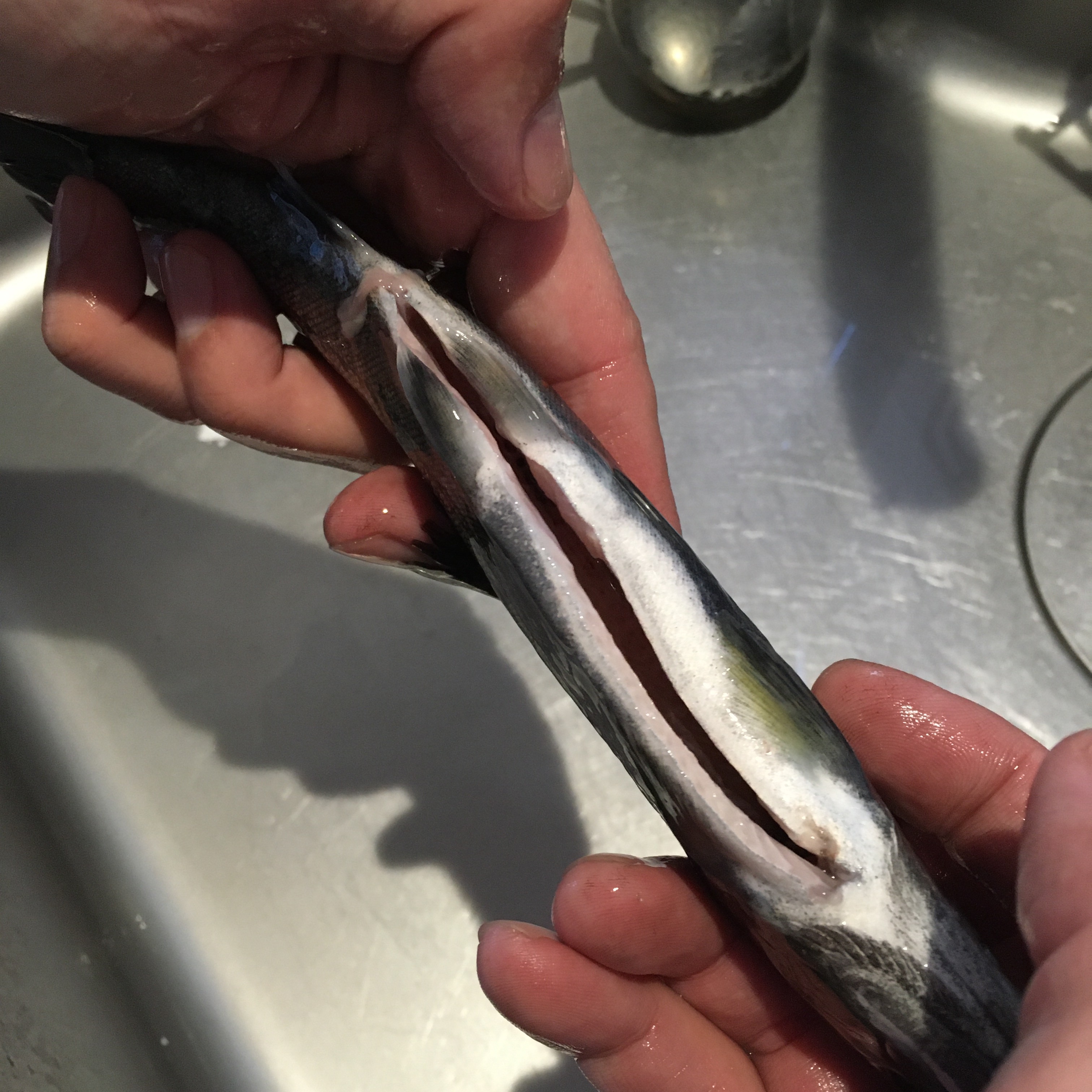 バーベキューにも 炭で焼くあまごの塩焼き レシピ 作り方 By りし 楽天レシピ バーベキューにも 炭で焼くあまごの塩焼き レシピ 作り方 By りし 楽天レシピ