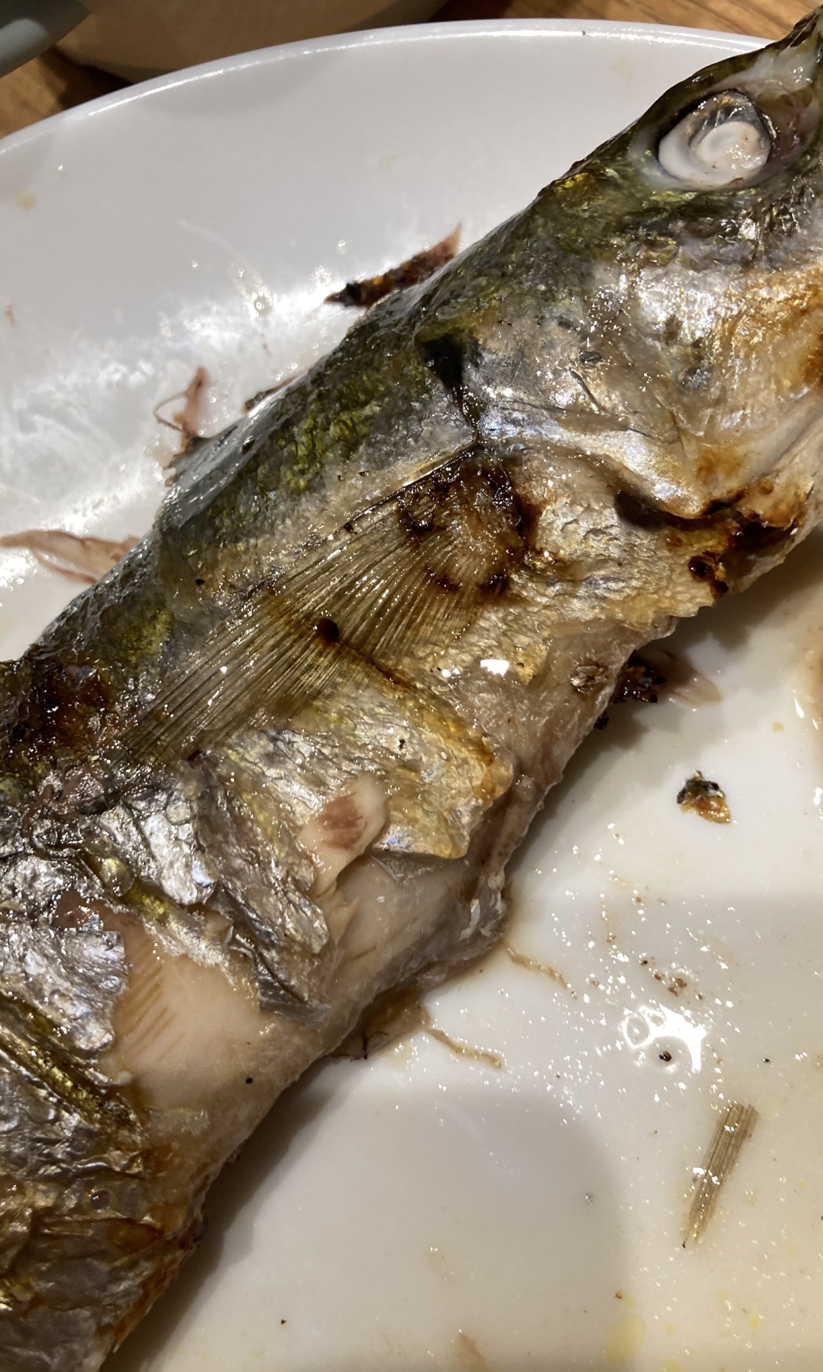 三枚おろしをしたムロアジを醤油焼き レシピ 作り方 By へんてこへんてこママ 楽天レシピ 三枚おろしをしたムロアジを醤油焼き レシピ 作り方 By へんてこへんてこママ 楽天レシピ