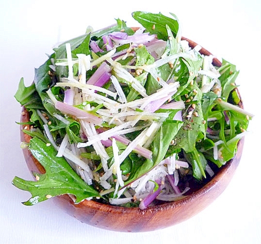 赤水菜と大根の胡麻サラダ