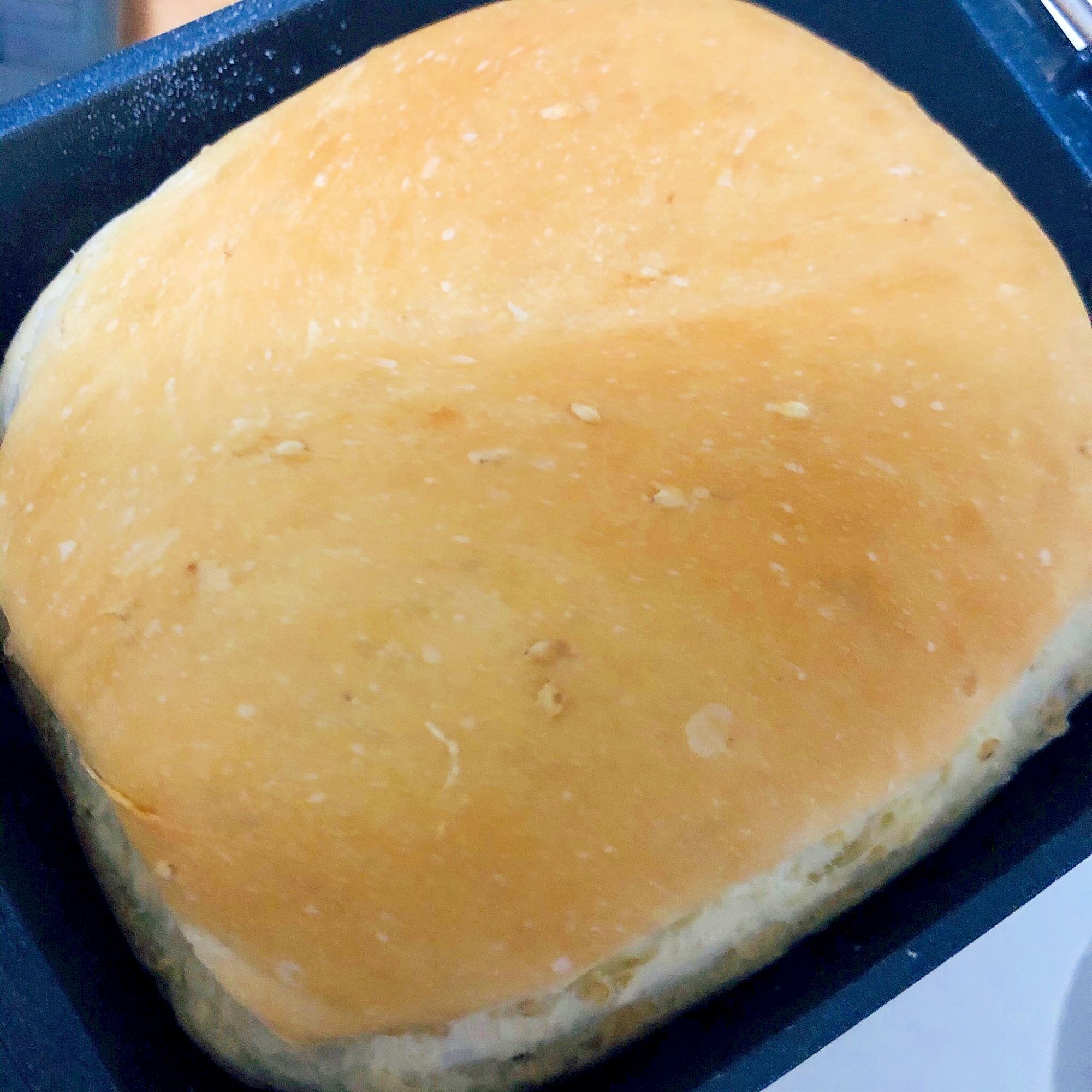 HB‼米粉とごま食パン