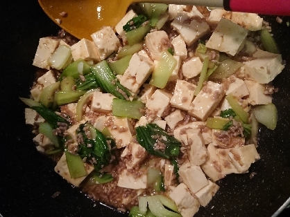 麻婆豆腐ばかりなので、たまには別なレシピも試したくて。