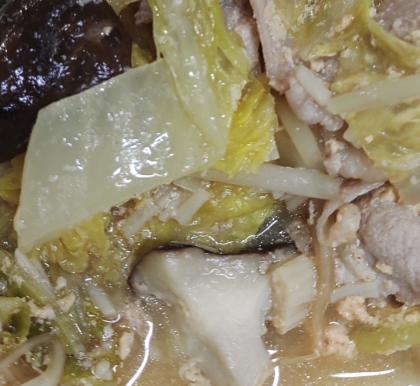 白菜もやし椎茸の味噌汁