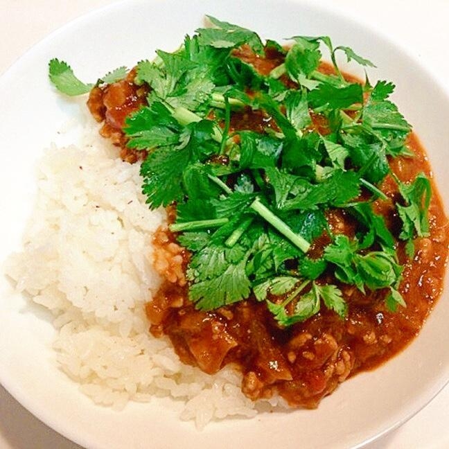 エスニック大好き☆パクチーキーマカレー