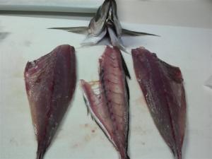 アジの三枚おろしに挑戦 レシピ 作り方 By ねこまめたぬき 楽天レシピ アジの三枚おろしに挑戦 レシピ 作り方 By ねこまめたぬき 楽天レシピ