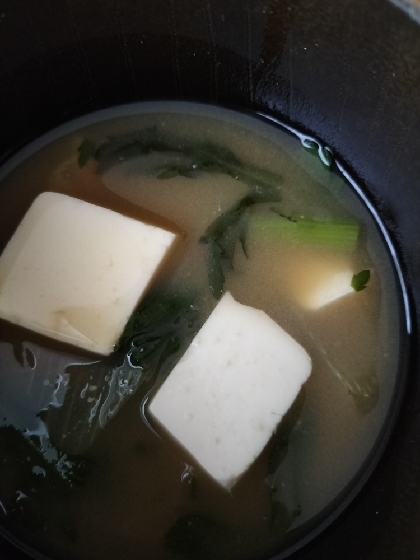 豆腐と玉ねぎと春菊の味噌汁