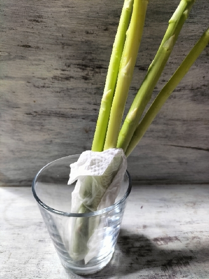 このポムポム印の門楼が目に入らぬか！アスパラ保存法