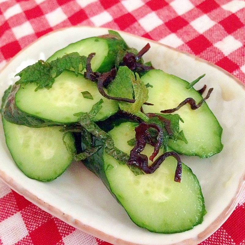 即席！塩昆布&青じそできゅうりの漬け物♪