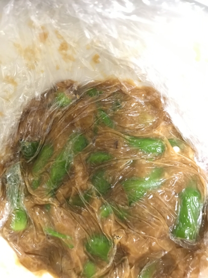 青トウガラシの味噌漬けと、唐辛子の長期保存方法