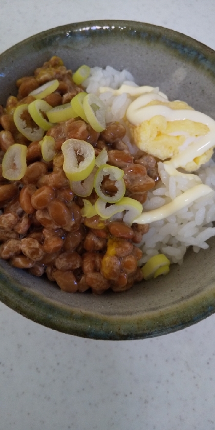ネギ納豆とマヨ卵焼きご飯