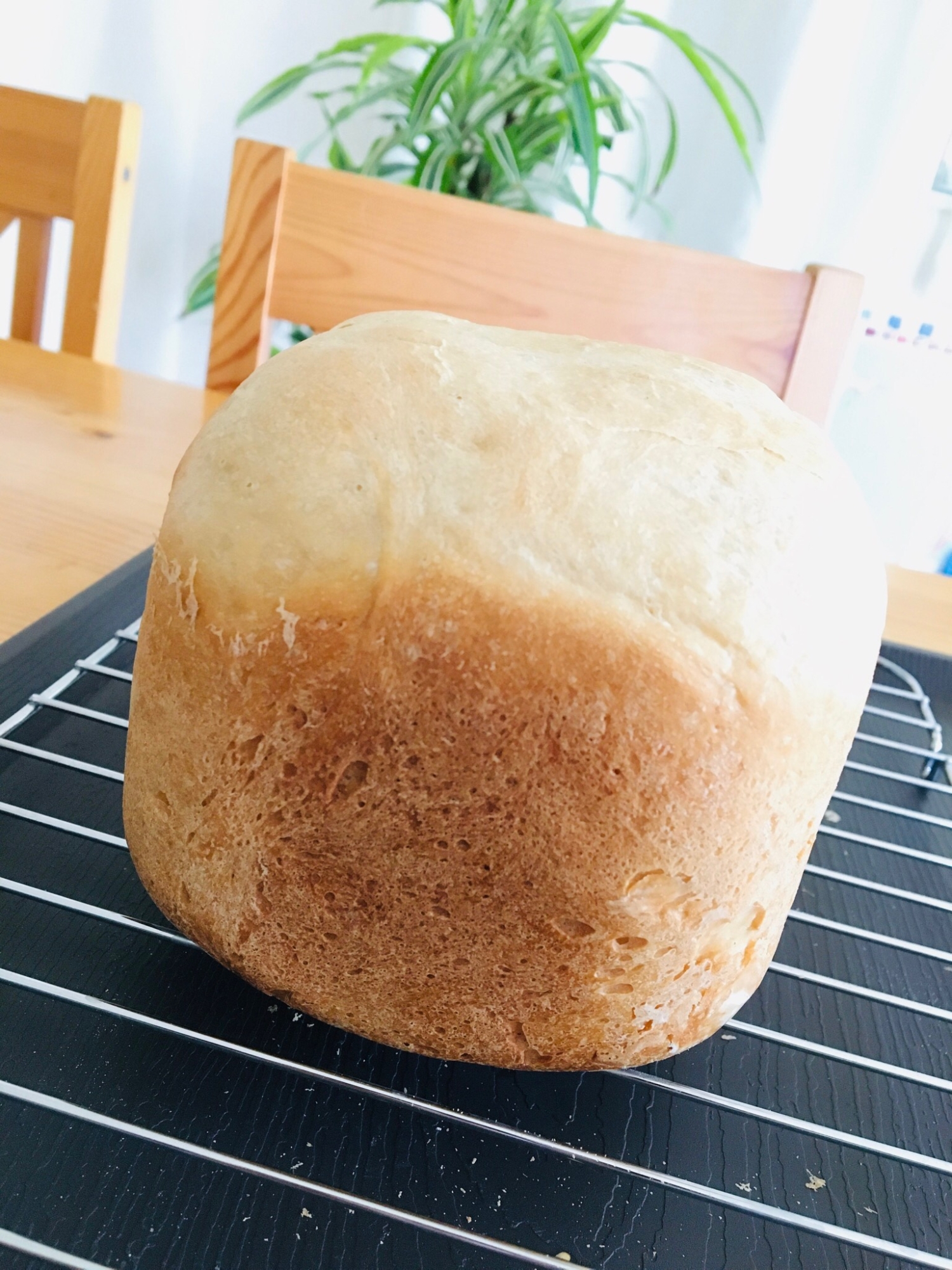 シンプルな蜂蜜レモン食パン