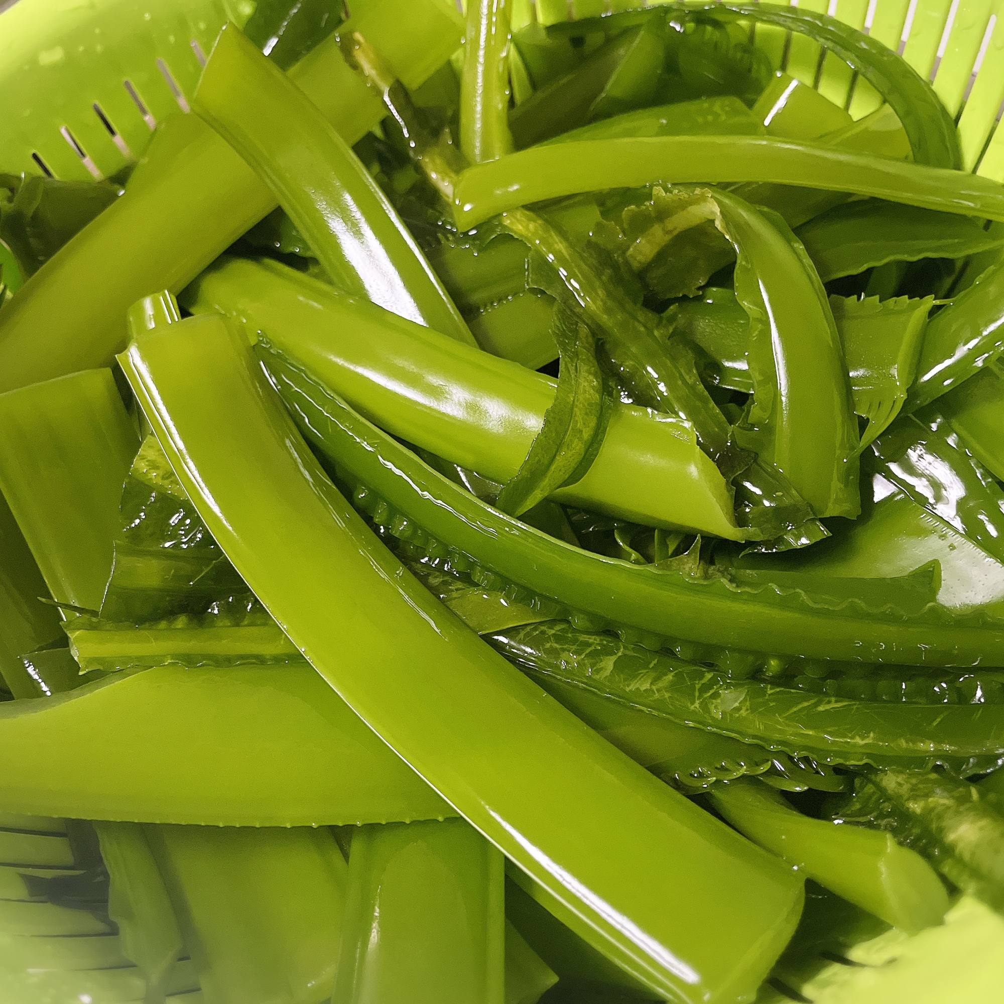 生わかめ 下処理方法