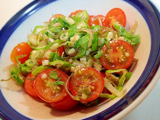 和風　スプーンで食べる夏野菜サラダ♬