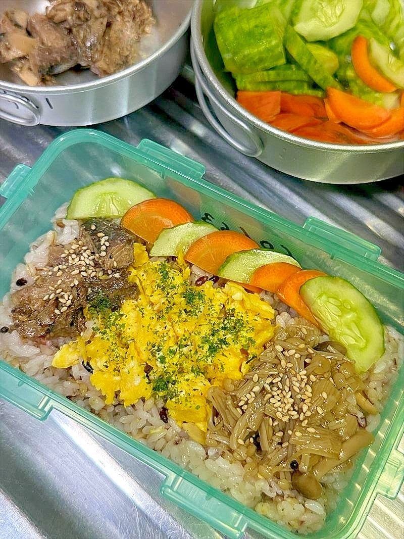濃い色濃い味の缶サバとなめたけが玉子でやさしい弁当